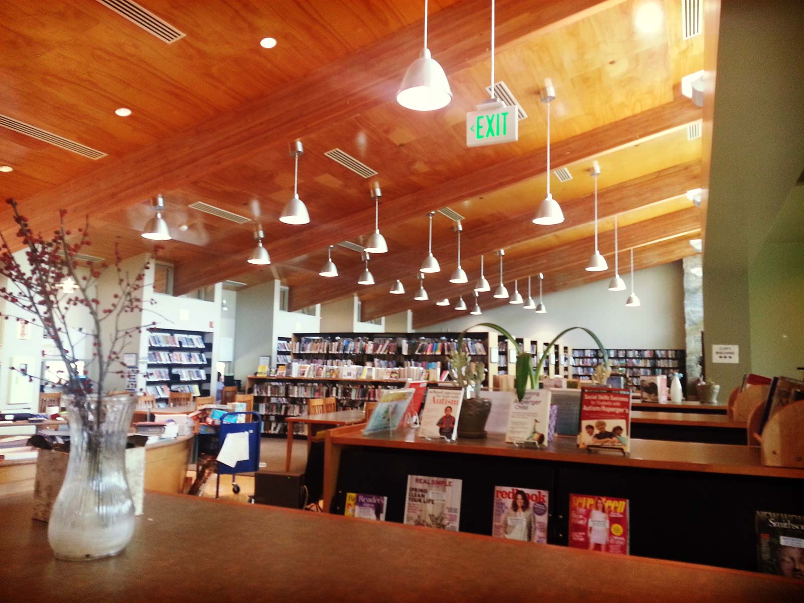 PALISADE library logo
