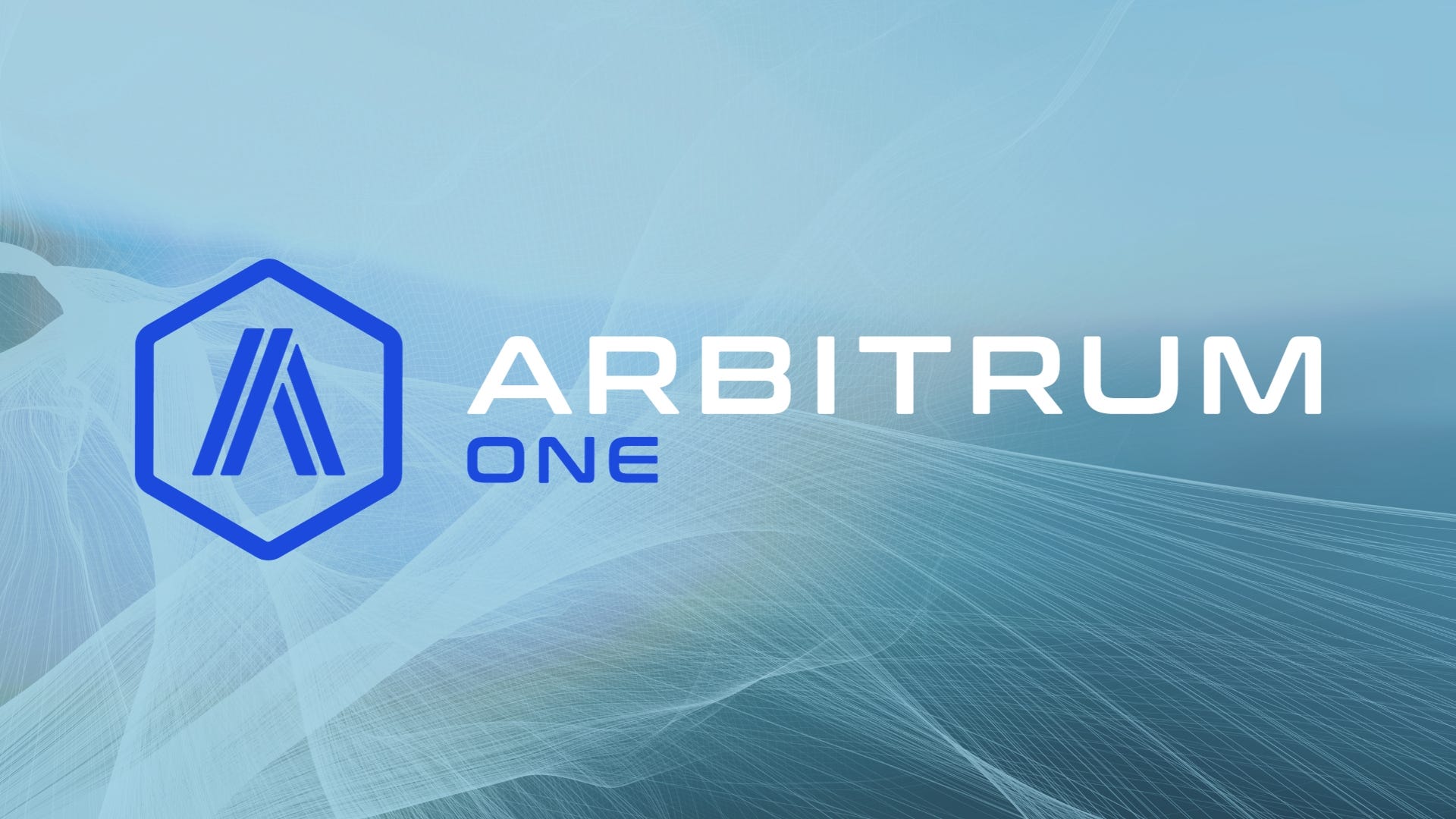 Motsu testing suite Arbitrum